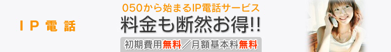 IP電話サービス